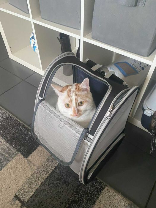 Plecak torba transportowa transporter dla psa kota zwierząt nosidełko