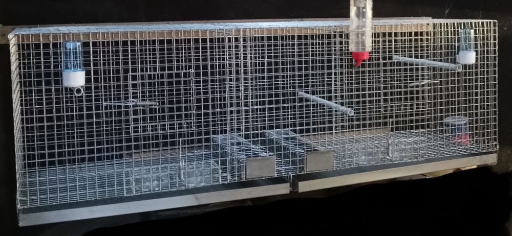 Vendo gaiola/voadeira