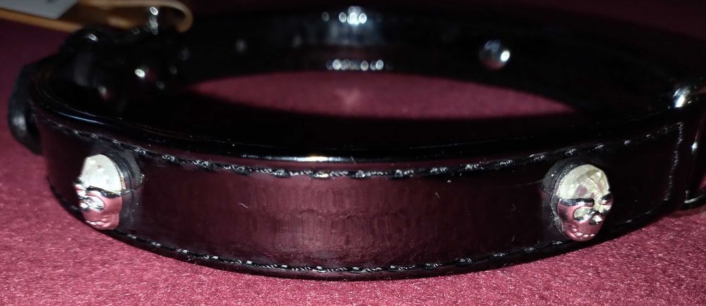 Obroża  w czaszki kryształki + metal PIĘKNA NOWA wysyłka Olx