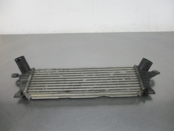 Radiador do intercooler RENAULT Kangoo (KC0/1_)
