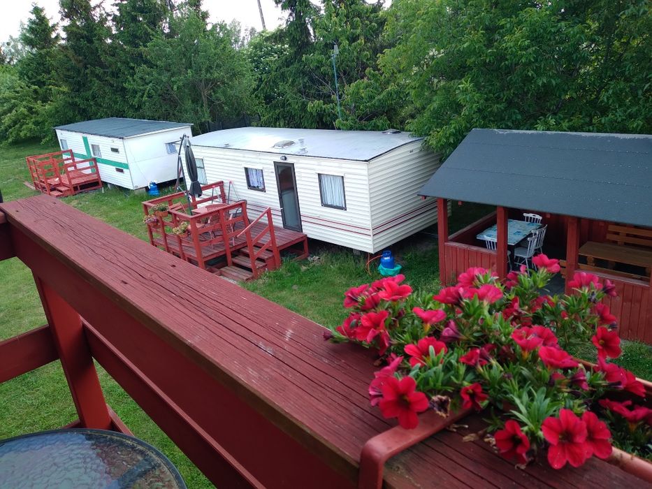 Wypoczynek nad morzem, Gdańsk Sobieszewo domki holenderskie, TANIO