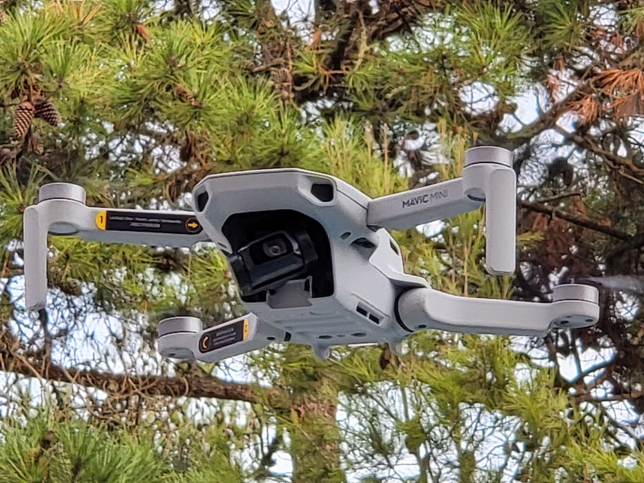 Drone Dji Mavic Mini