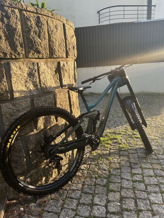 Scott Gambler 910 2024 personalizada