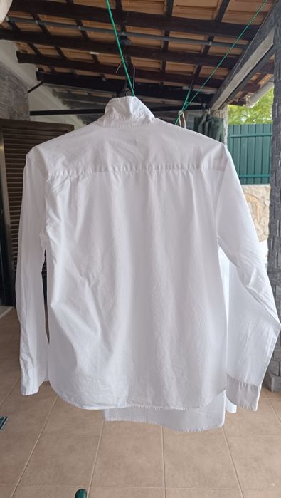 Camisas homem brancas novos lavadas