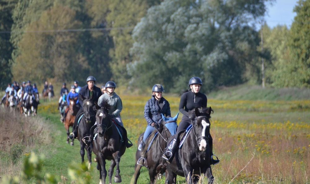 Sprzedam Klacz Śląską