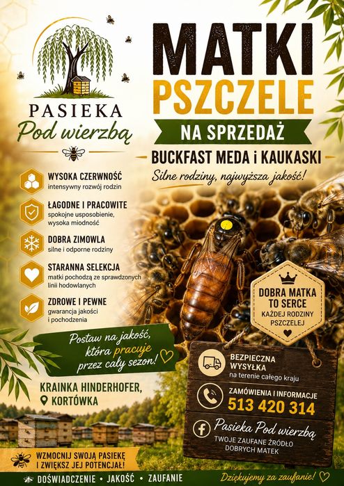Matki pszczele Buckfast, Krainka