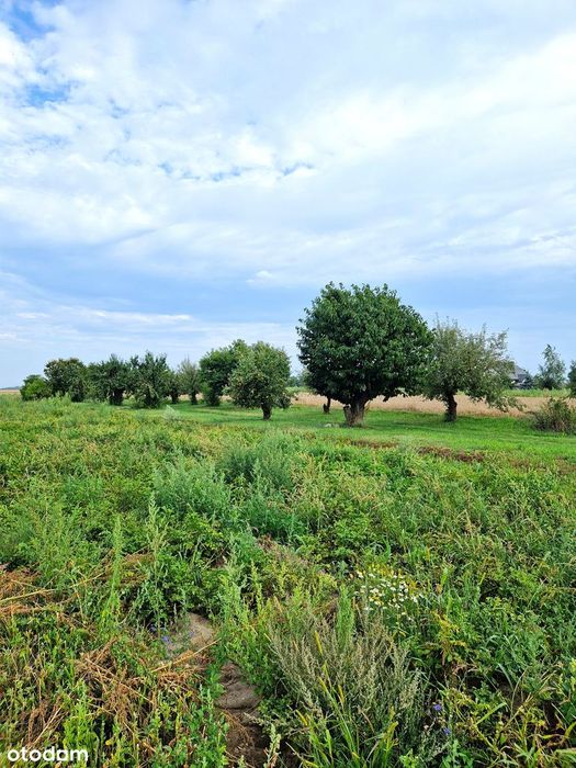 Atrakcyjne działki na skraju małej miejscowości, 4 km od Skwierzyny - Widok 3
