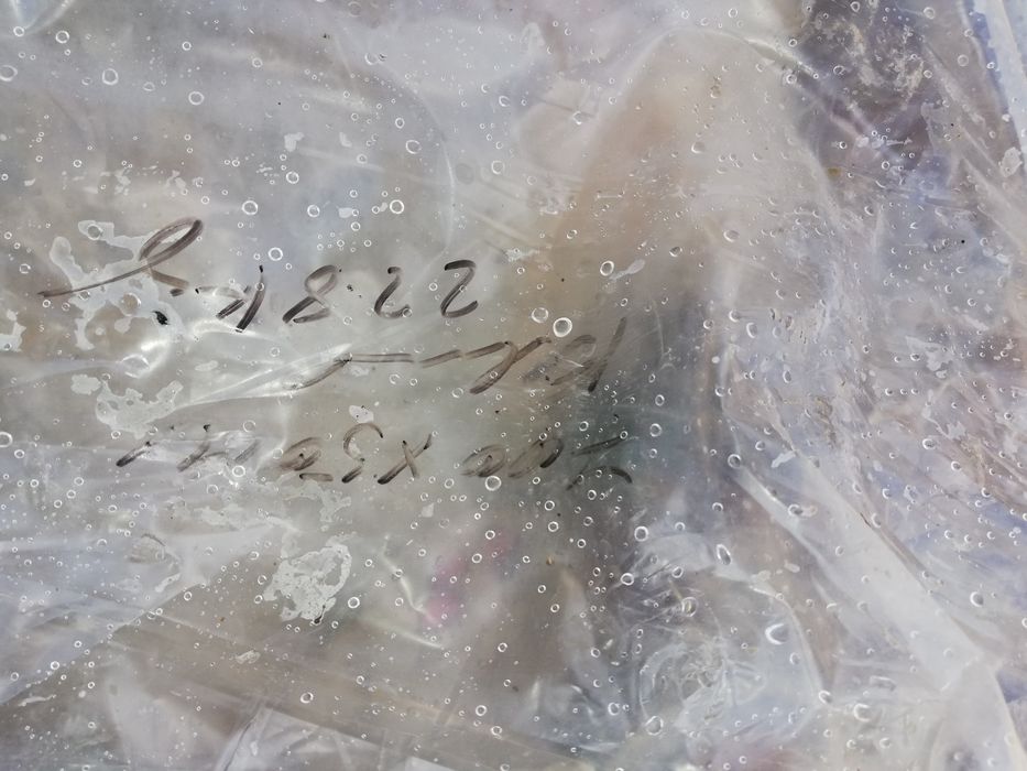 Rolos de plástico novos 350 m2 agricultura