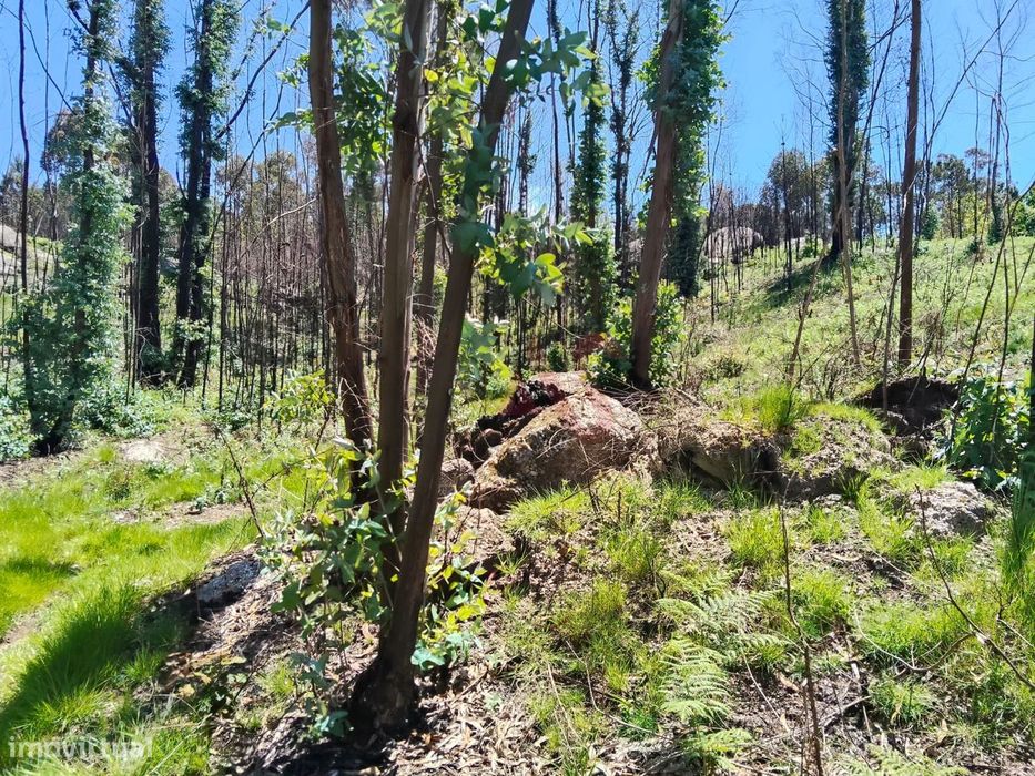 Terreno Rústico com 2.603,87 m² em Seidões, Fafe