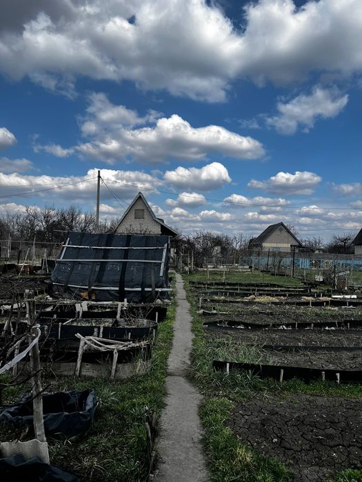 Дача,даманский, придорожное