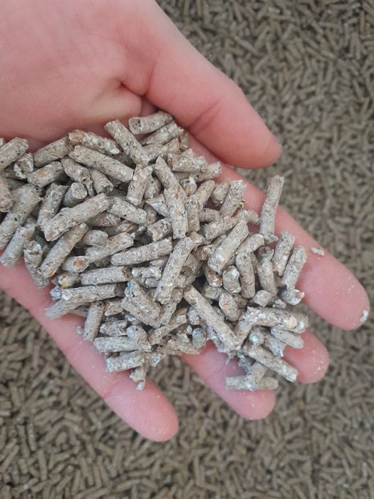 Pellet z żyta pelet