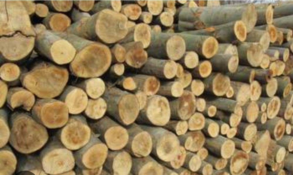 Drewno opałowe z transportem