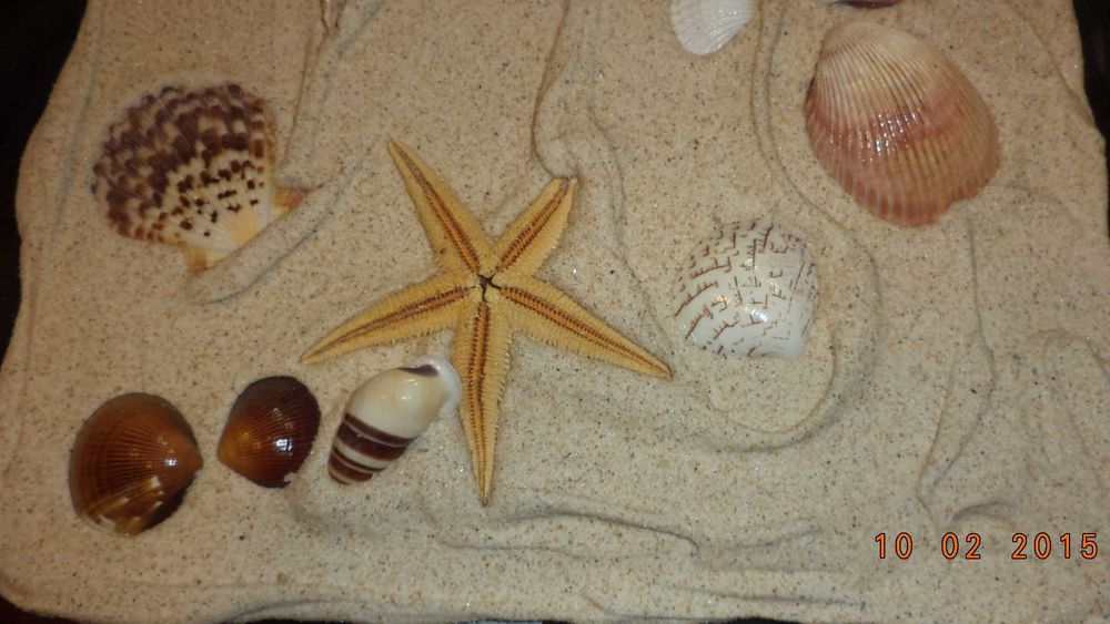 Quadro decorativo com motivos de praia em relevo