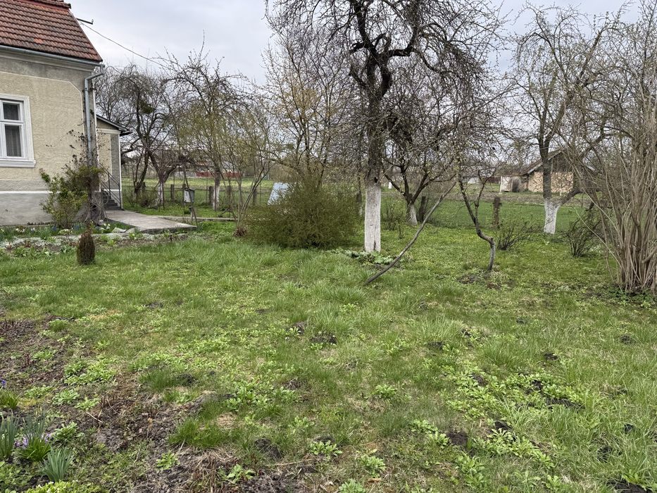 Житловий будинок з присадибною ділянкою в селі Піддністряни – pohled 4