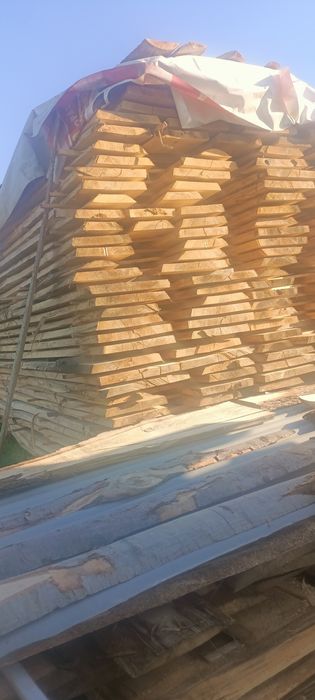 Tarcica topolowa topola osika