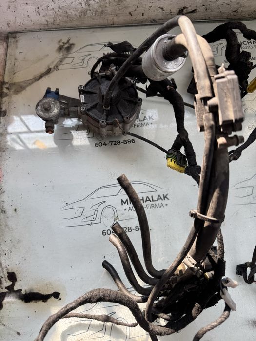 Instalacja gazowa Stag-4 Qbox basic