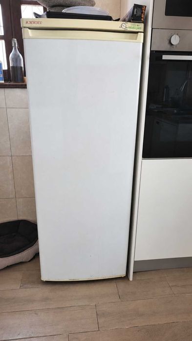 Arca congeladora vertical Jocel – 165 L – A funcionar perfeitamente