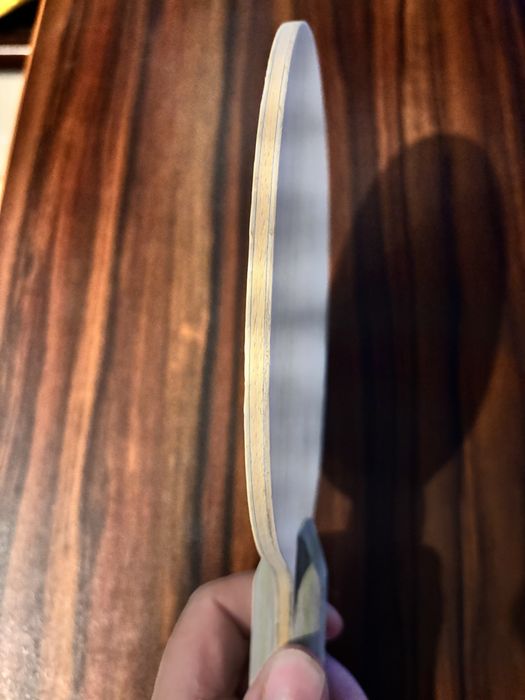 Deska Nittaku Greenshank