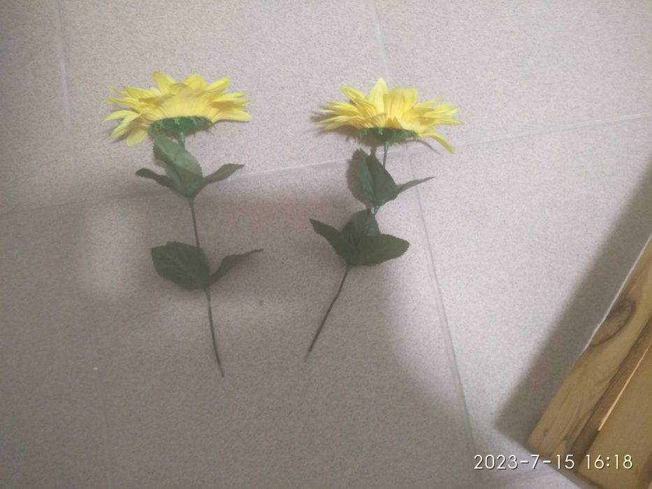 Kwiaty ozdobne słoneczniki tanio