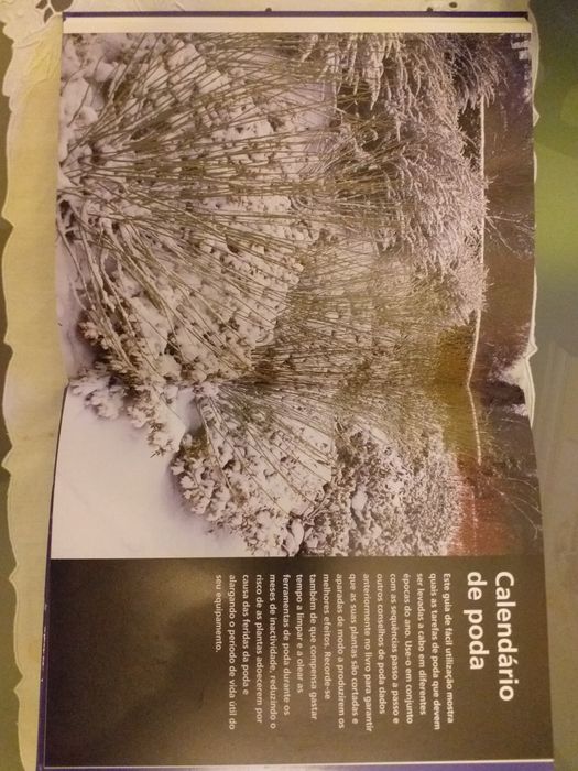 LIVRO " Aprender Jardinagem. PODA FÁCIL