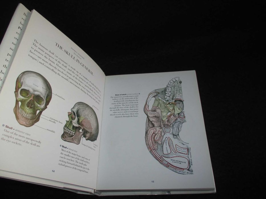 Livro Pocket Anatomy Christopher Joseph