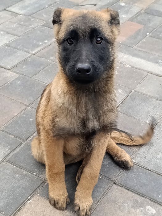 Малінуа дівчатка