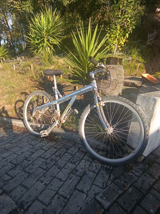 Várias bicicletas432571498795509764