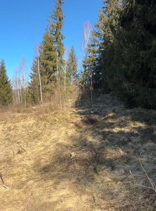 Видова дідянка зі струмком . – další