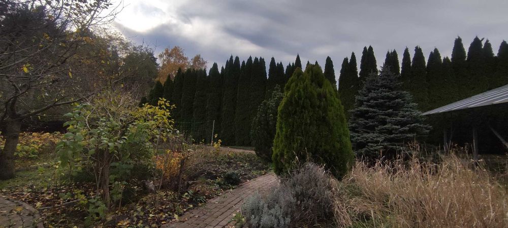 Боярка, Тарасівка ( 16 км до кільцевої дороги), вул. Лісова.