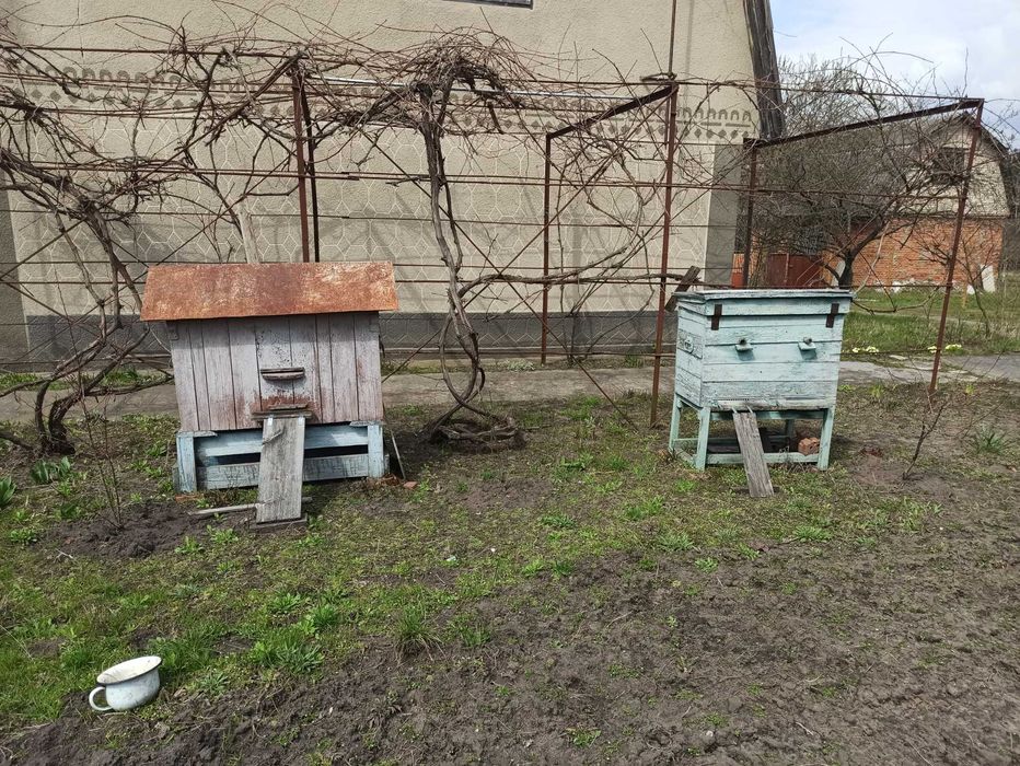 Продам вулики Хмельницька область