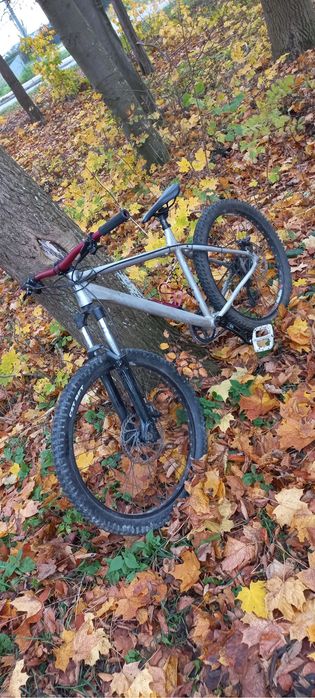 rower mtb custom