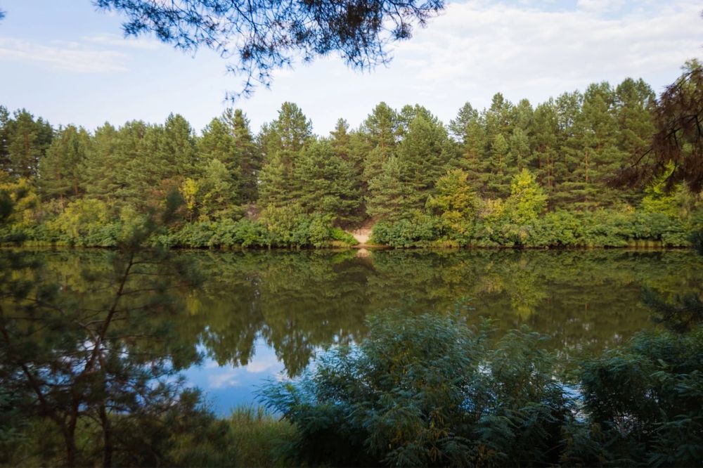 10 сот біля рибного каналу 250м поряд ліс та київське море терміново