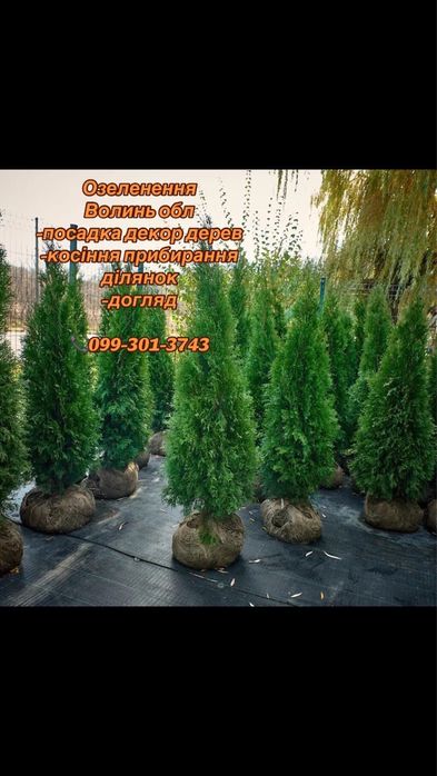 Косіння трави Луцьк