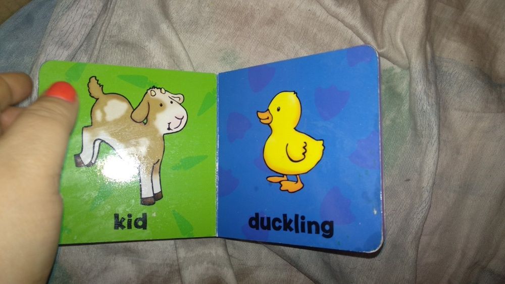 детская книга на английском цветная дети животных Animal babies