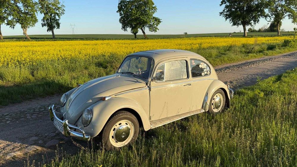 VW Garbus 1966 r.