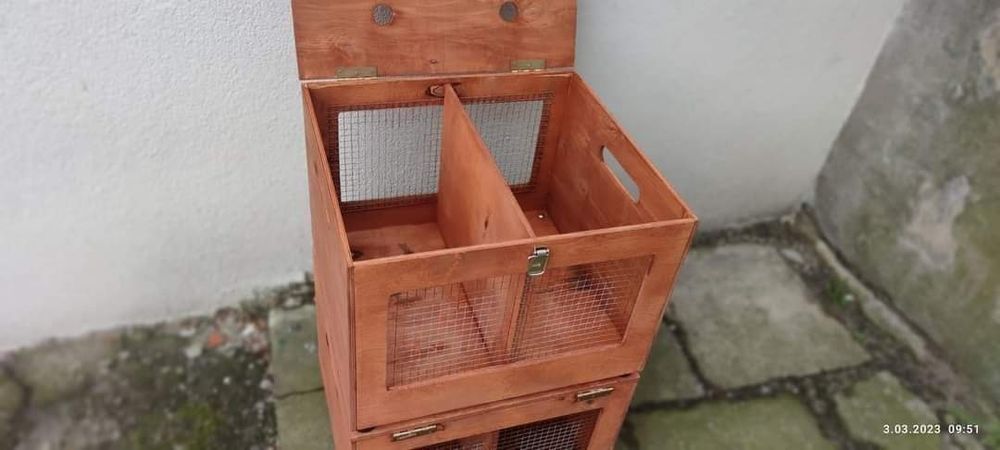 Królik Transporter 50