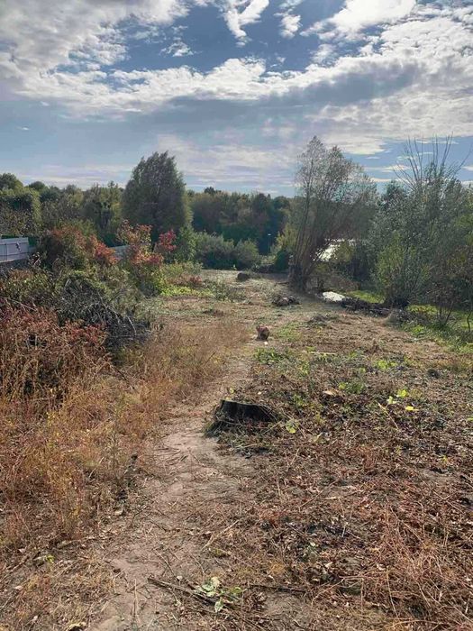 17 сот берег Росі