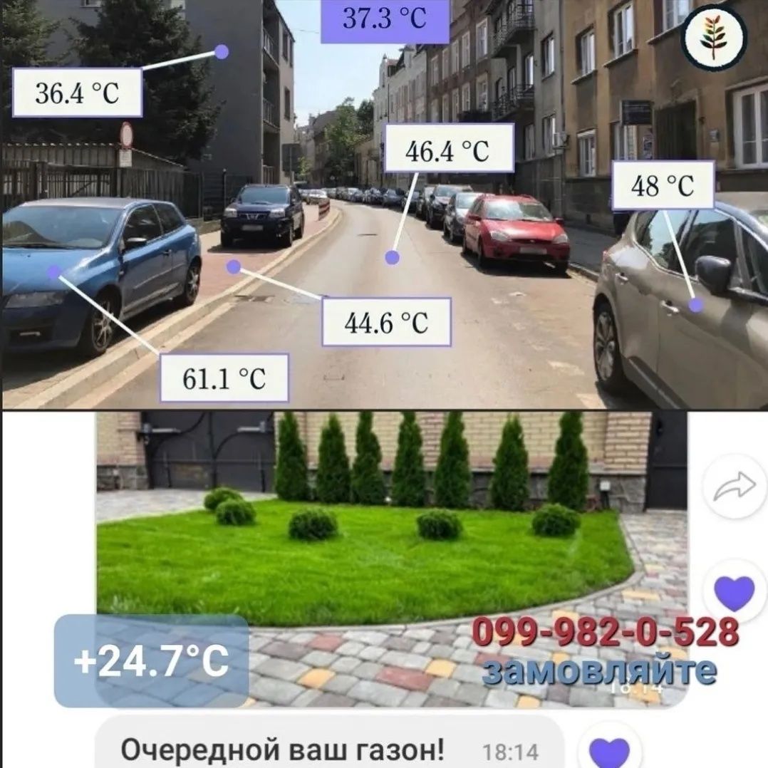 Трава газонная лилипут мягкая СПОРТИВНАЯ семена низкорослого газона ...