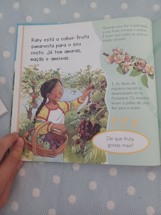 Ciência em primeira mão- Plantas e flores