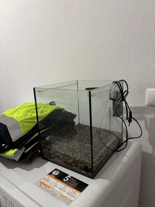 Vendo aquario com caracois
