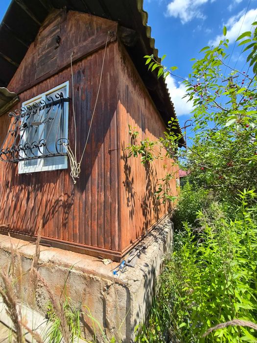 Продам дачу СТ Шевченкове Броварський район Богданівка