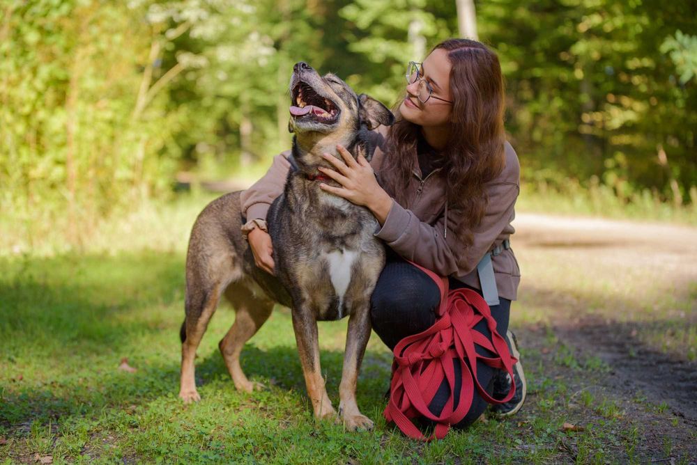 Wspaniały pieszczoch Amor - pies gotowy do adopcji