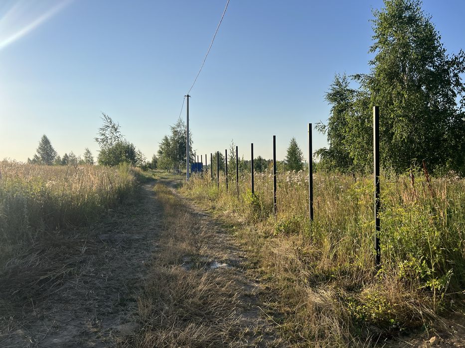 Ділянка 20 соток в березовому гаю