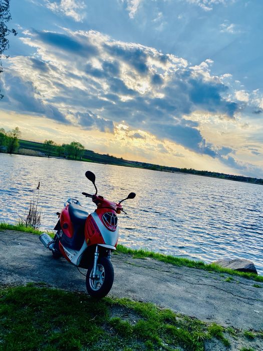 Viper grand prix 125