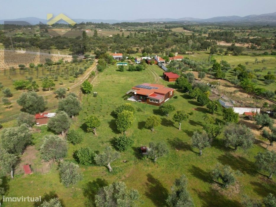 Quinta com 1 Hectare em Tinalhas - Duas construções, Piscina e Exce...