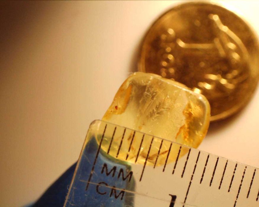 Bursztyn inkluzja nieznany Alien