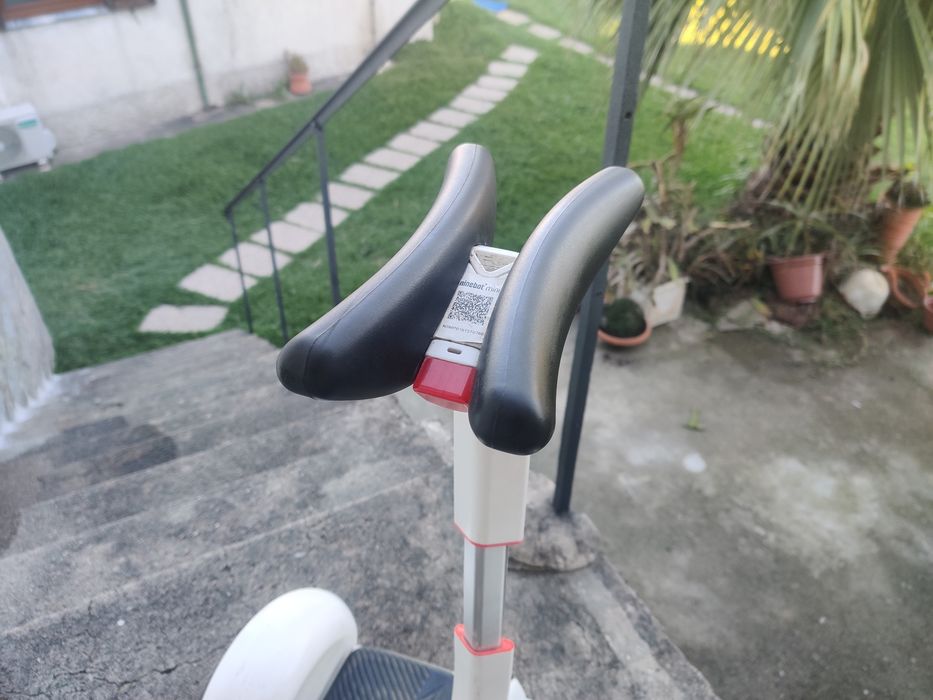 Segway Ninebot Mini Pro
