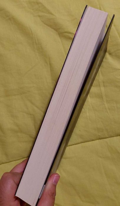 Livro Uma Chuva de Diamantes