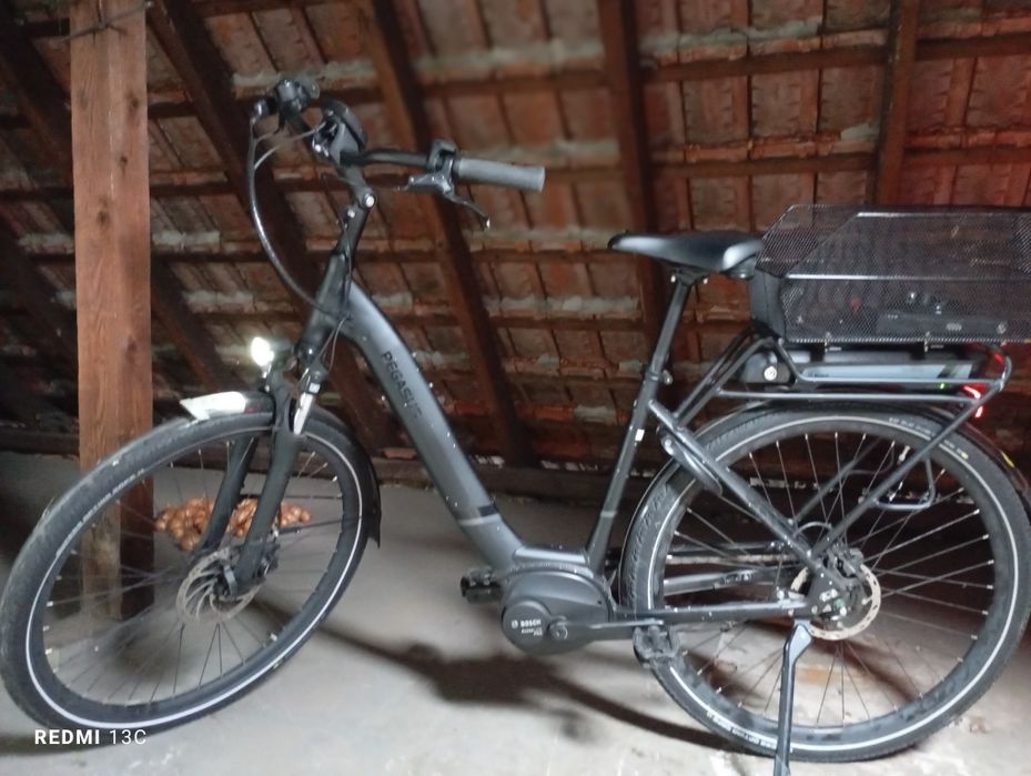 E Bike Pegasus Solero E8r Plus 500 WH DAMEN LILA 2024