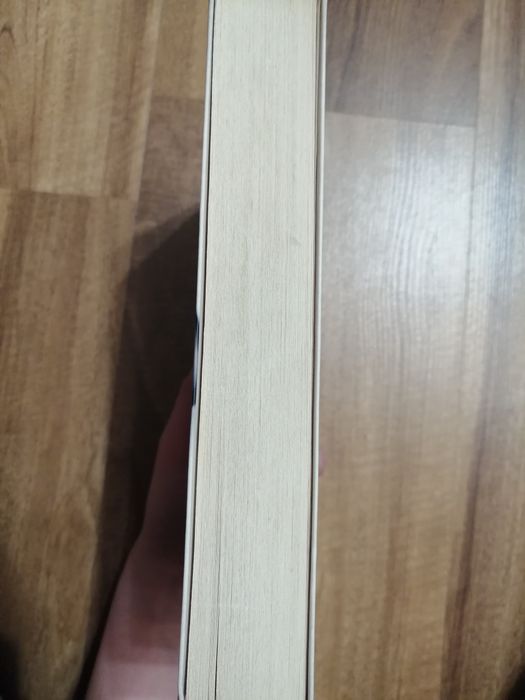 Sprawa Niny Frank Katarzyna Bonda